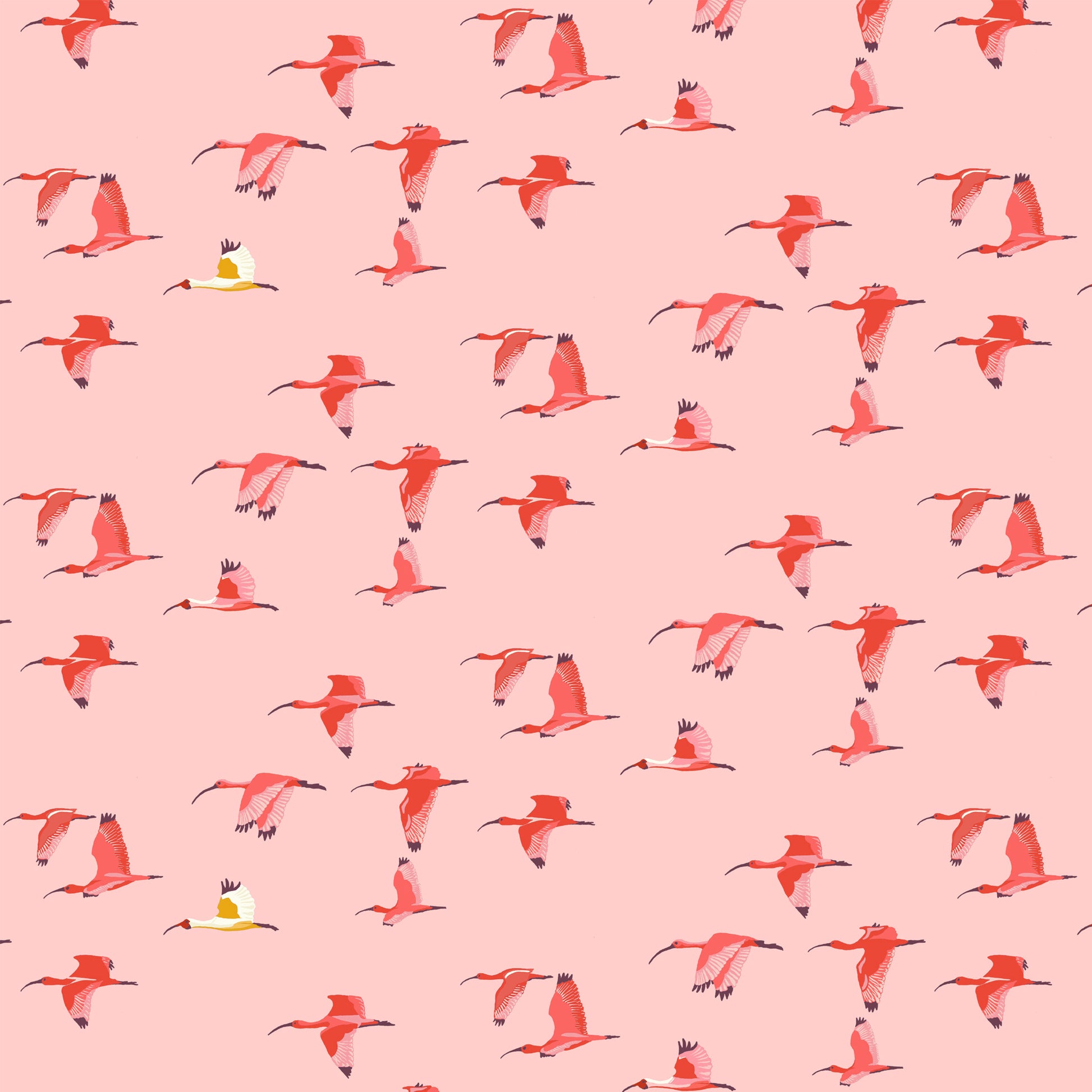 bright red and cream ibis flying in the same direction on a light coral-pink ground, printed on fabric