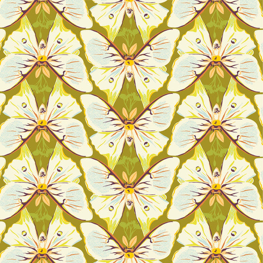 illustrated cream coloured luna moths in repeating rows with soft orange antennae on a medium olive ground, printed on fabric